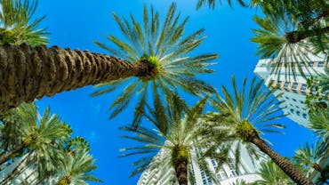 Massive Citizens Takeout Plan Seen as Sign That Things Are Looking Up in Florida Market