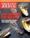 Insurance Journal South Central 2013-11-04