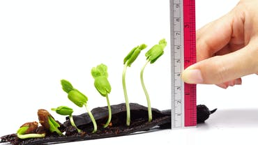 Big ‘I’ Report: Independent Agency Channel Slowly Growing